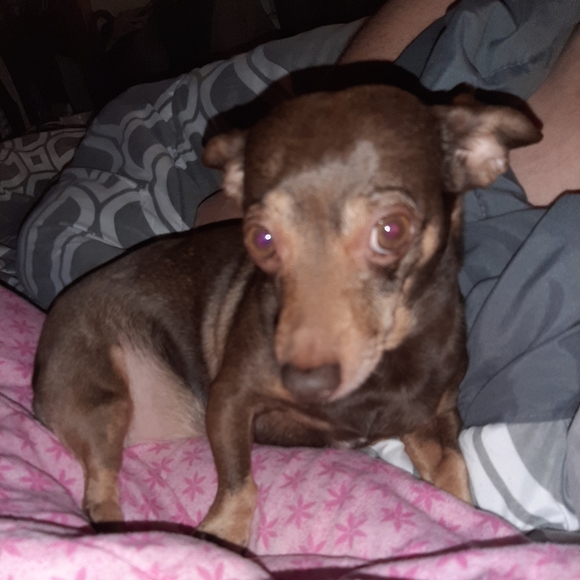 Meet your Posher, Angela - Picture 4 of 4